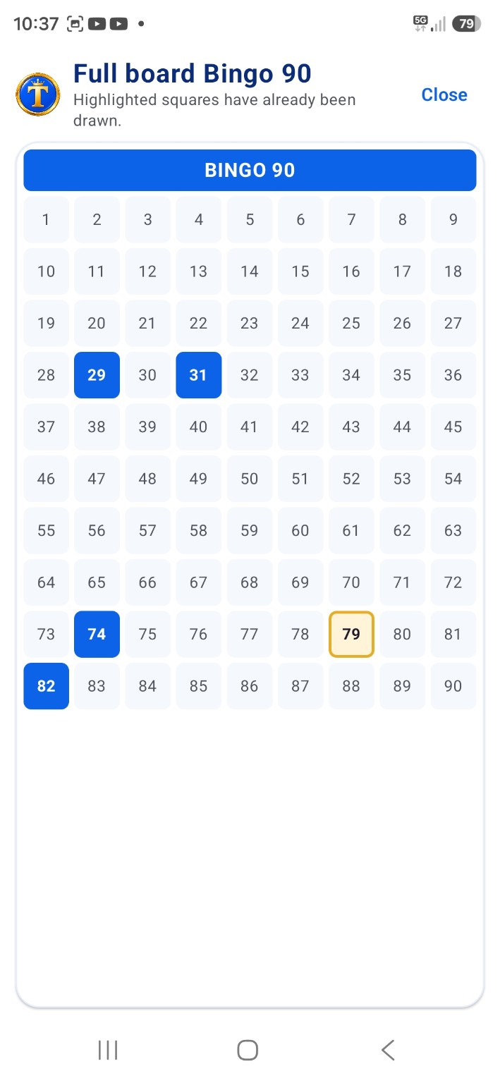Full Bingo 90 board